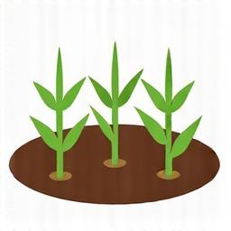 畑の苗のアイコン